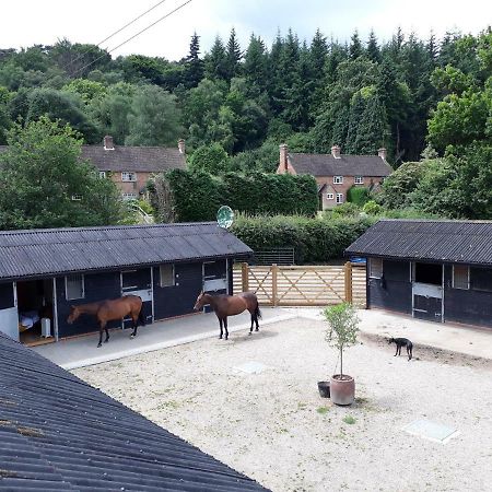 Crockers Farm Villa Dorking Kültér fotó