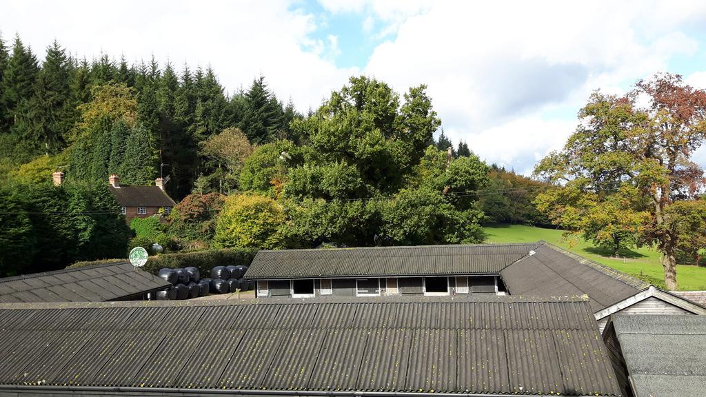 Crockers Farm Villa Dorking Kültér fotó